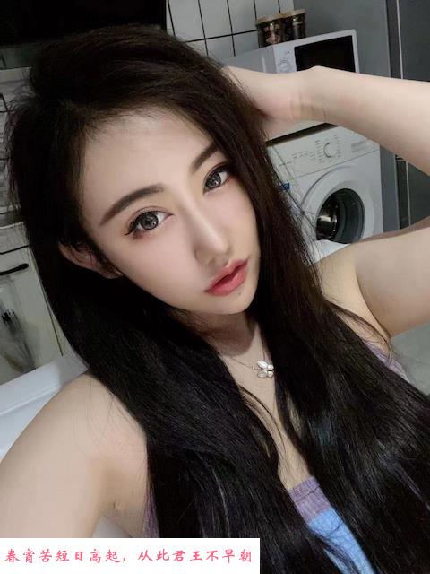 民治小衣模猪猪 第1张