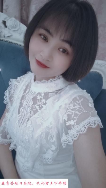 鼓楼含羞草 第2张