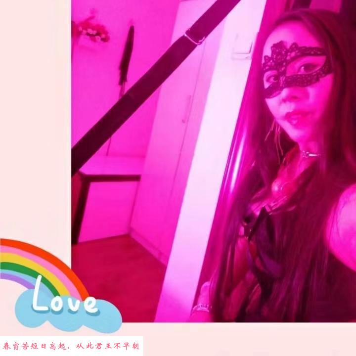 成华区小娇妻 第1张