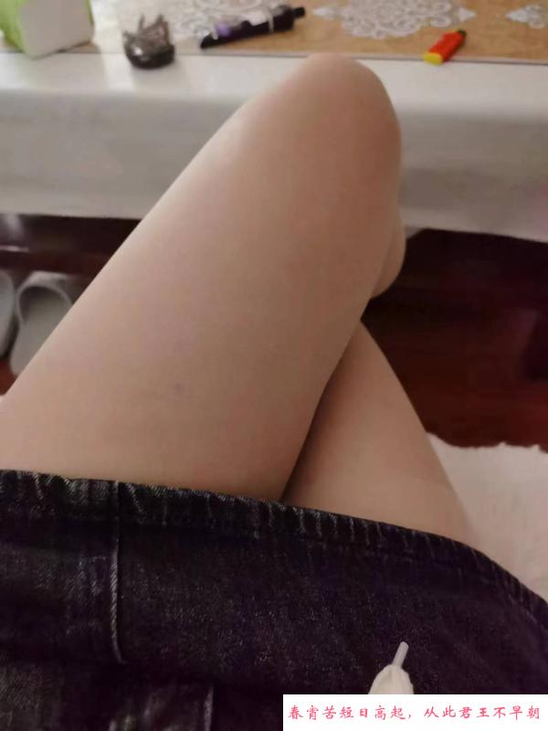 北辰小燕子 第1张