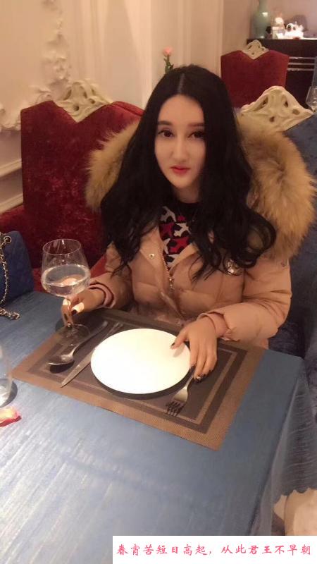 哈市小坦克 第1张