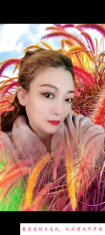 铁西气质淑女小姐姐 第2张