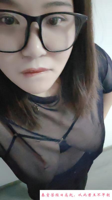 合肥服务小浪浪 第3张