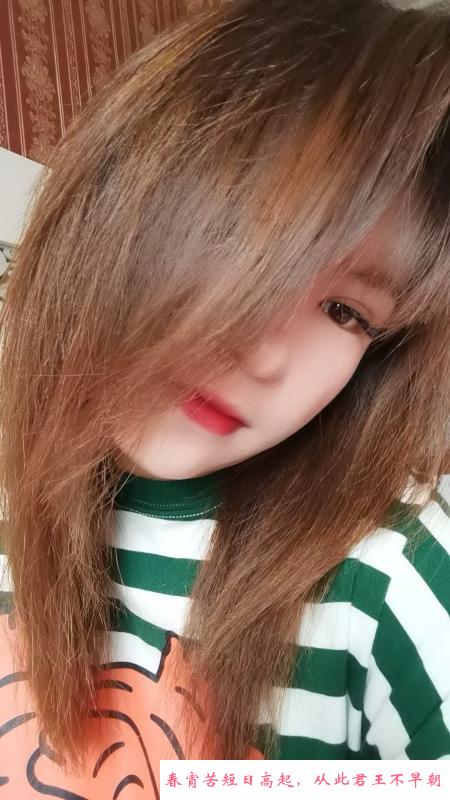 焦作少妇 第1张