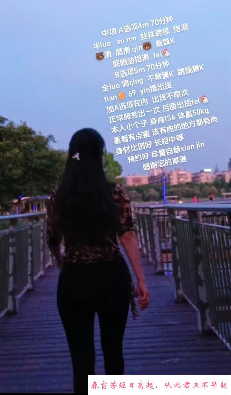 中项服务 第1张