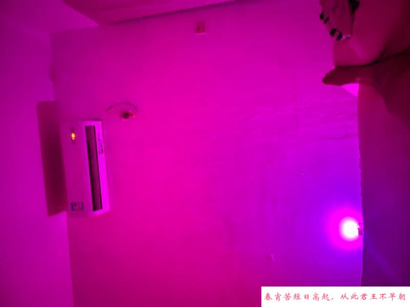 出击市二宫冰冰 第3张