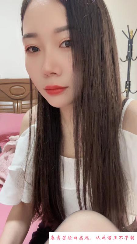 秦淮苗喵 第1张