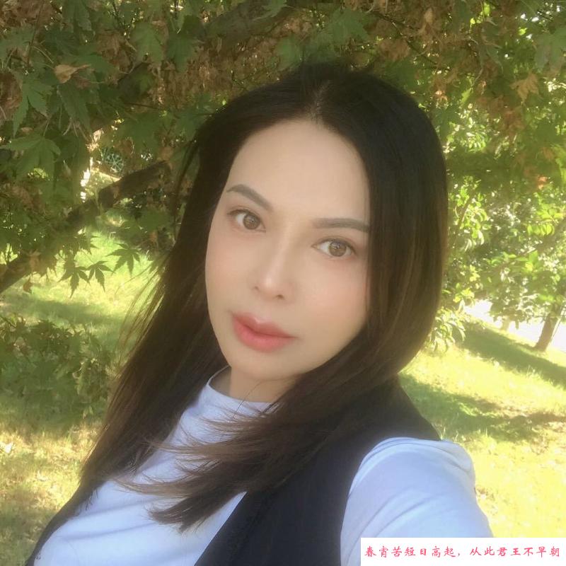 钟楼骚妇 第1张