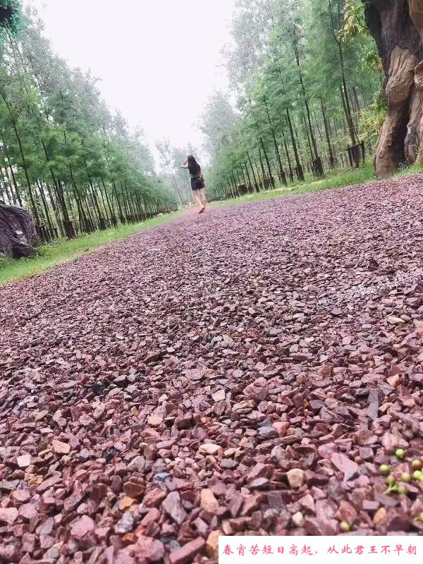 瑶海小少妇 第1张