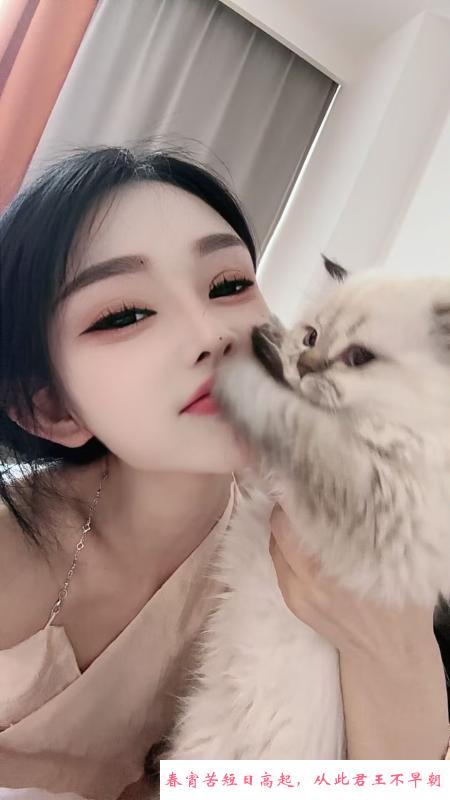 杭州小默 第2张