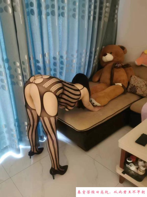 微胖小坦克 第2张