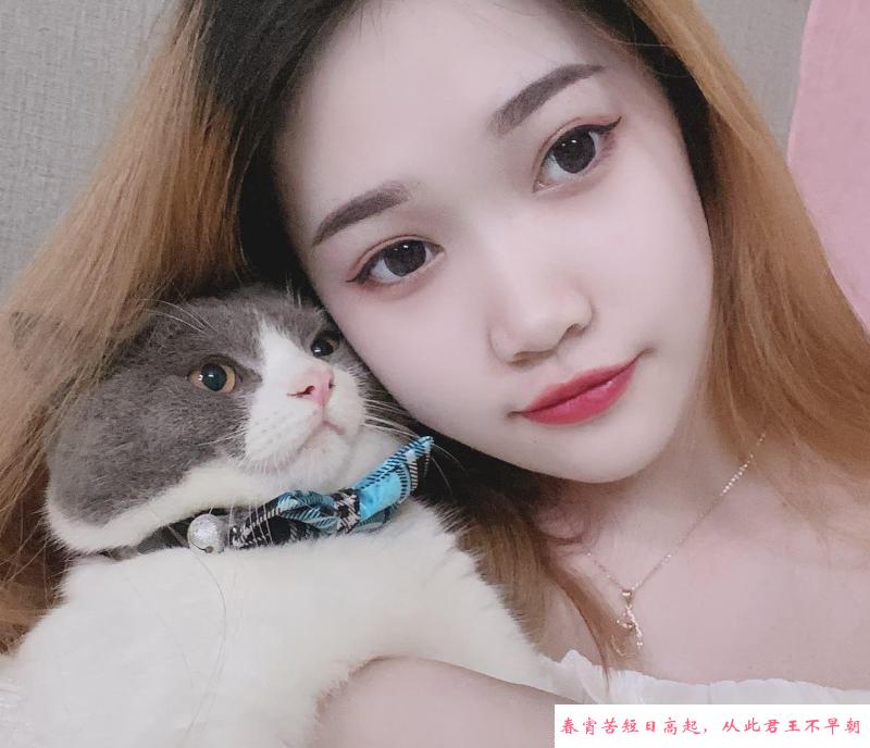 服务系姐们晴儿 第1张