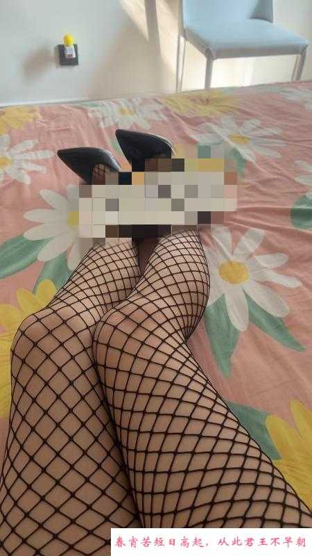 萧山小少妇 第1张