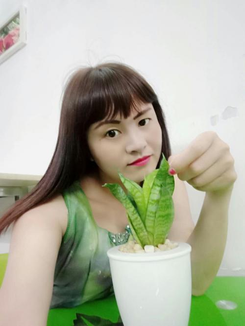 西乡阿莲 第1张