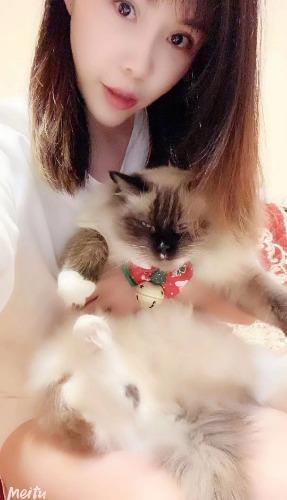 出击达官营红颜 第1张